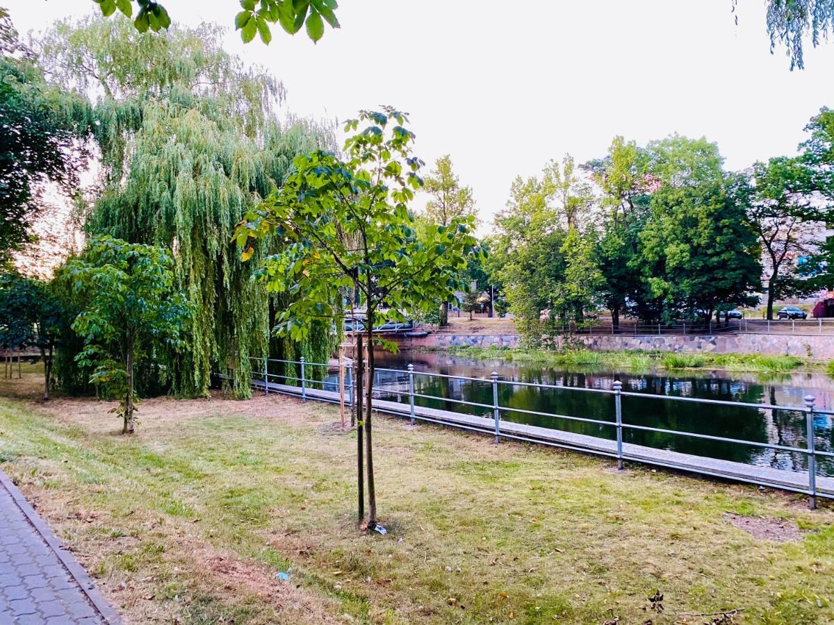 Rodzinny Apartament Platany Centrum โควอบเซก ภายนอก รูปภาพ